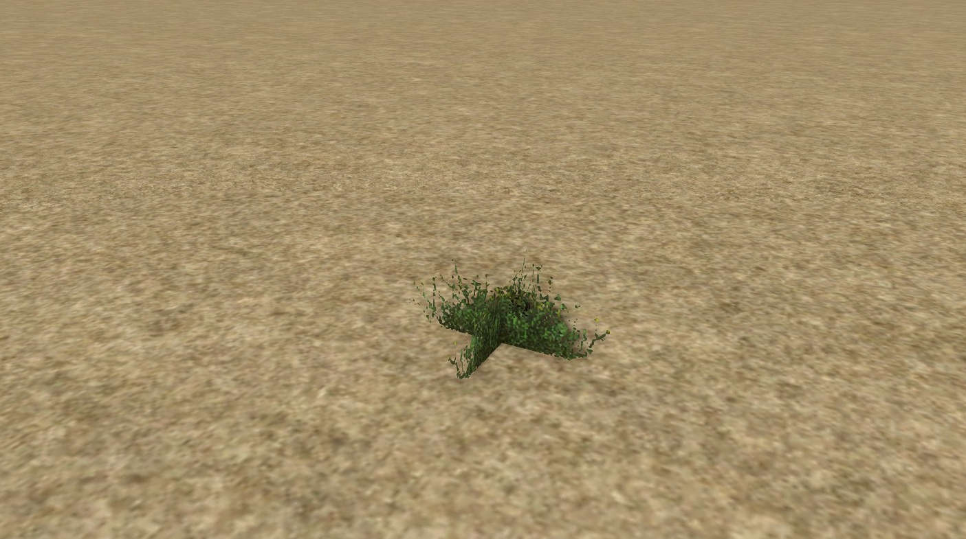 Grass 05