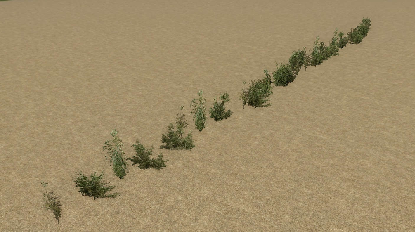 Shrub Line 50m