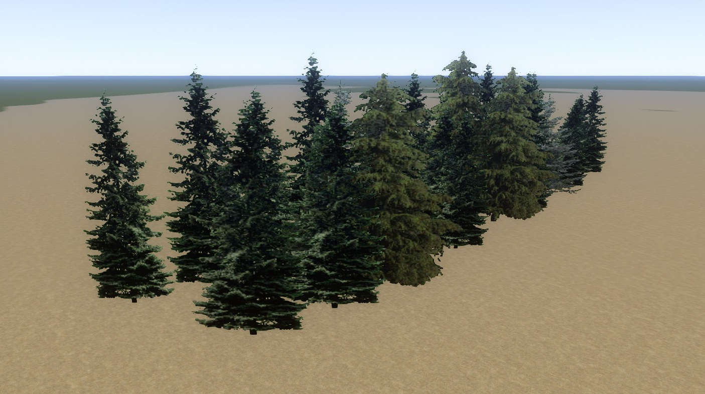 Tree Fir Line Mid