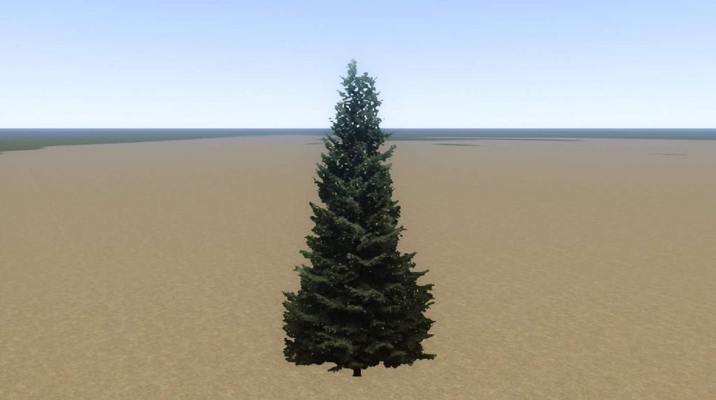 Tree Fir Mid 02