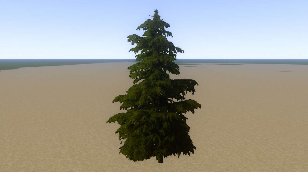 Tree Fir Mid 03