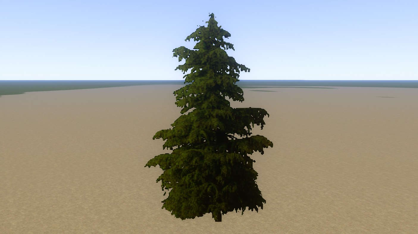 Tree Fir Mid 03