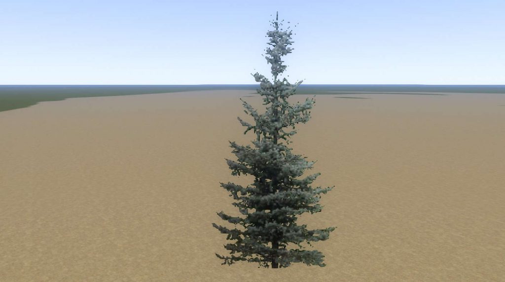 Tree Fir Mid 04