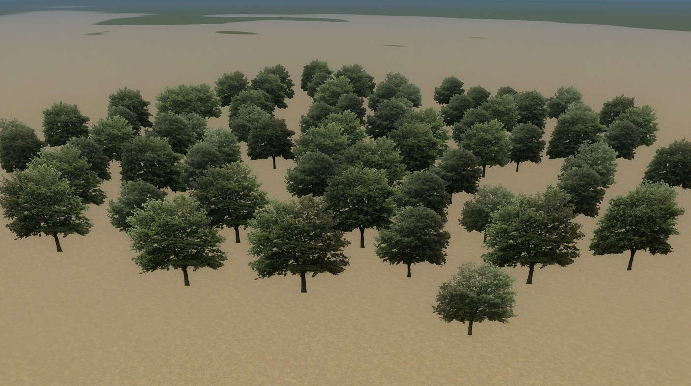 Tree Maple Group Mid 01