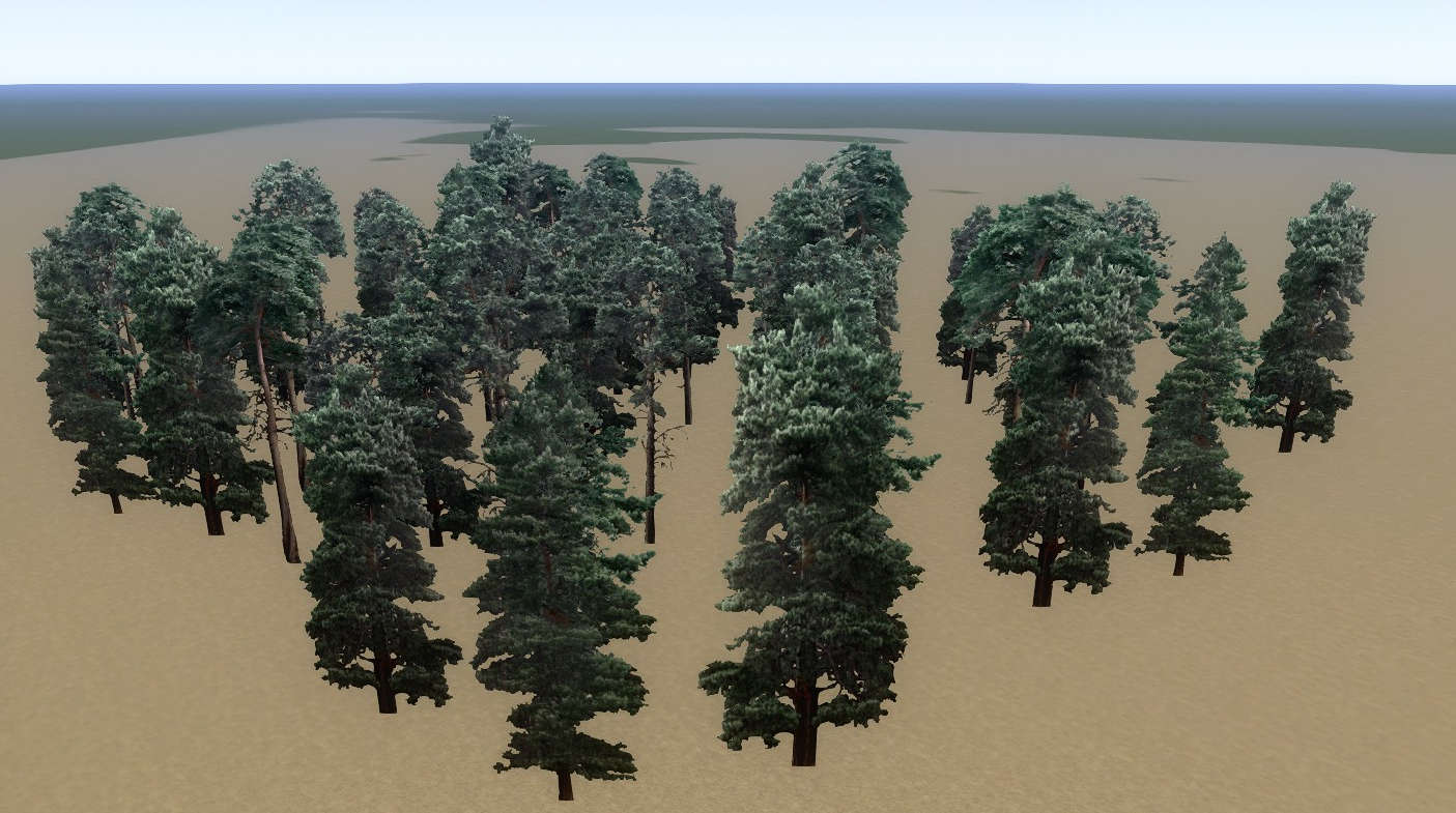 Tree Pine Group Mid 01