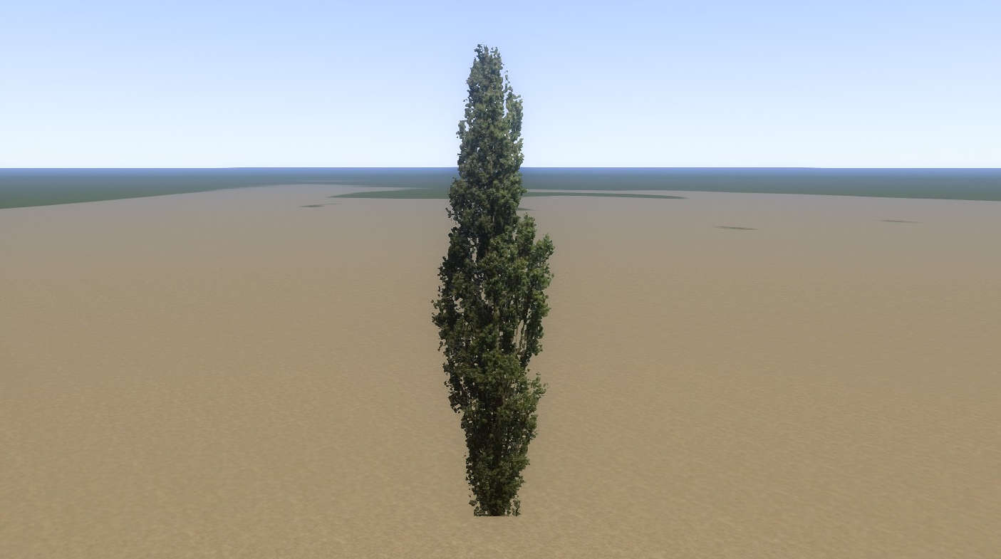Tree Poplar Mid 01